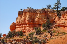 Red Canyon Trail Utah